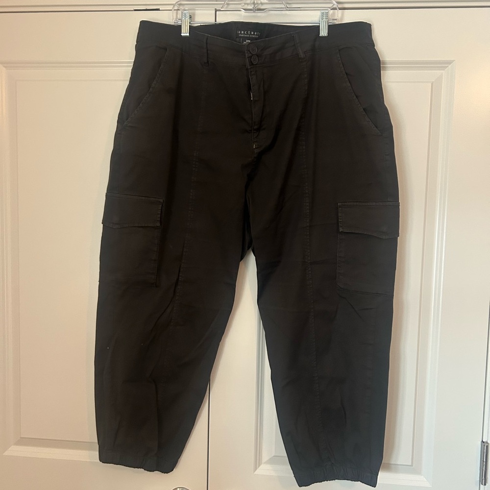 Sanctuary Women's Plus Size Black Cargo Pants